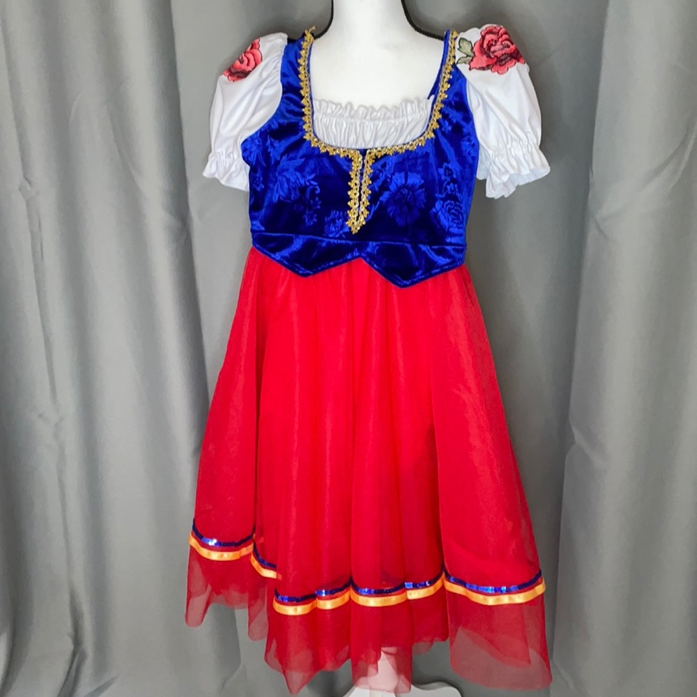 Dance /Ice Skating Costume Adult Small